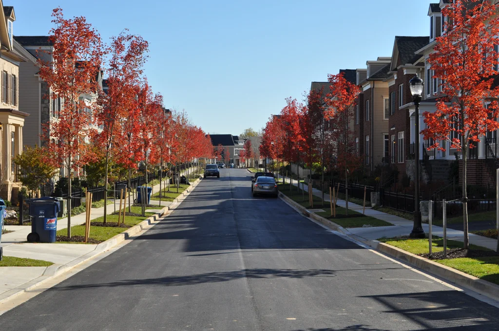 Gray & Son Construction in Baltimore, MD - Site Development Contractors